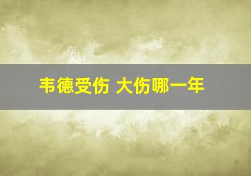 韦德受伤 大伤哪一年